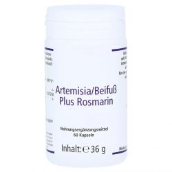 Артемизинин 150 мг капс. 60шт в Курске и области фото